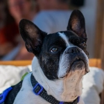 Схема программ лояльности казино без депозита и их структурные элементы