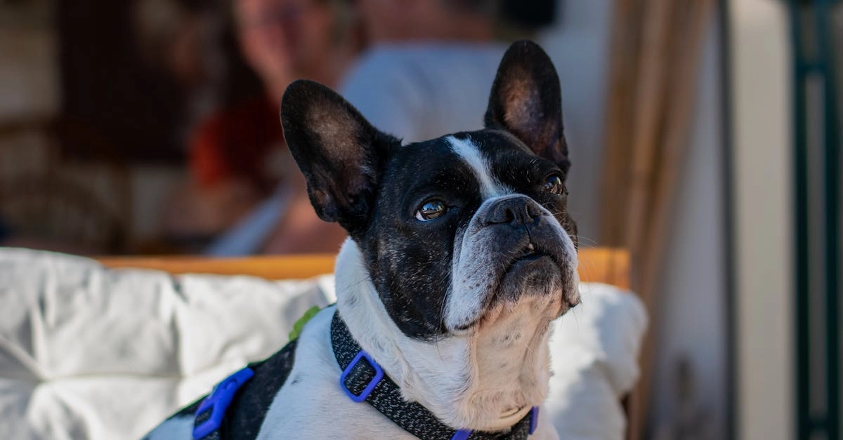 Схема программ лояльности казино без депозита и их структурные элементы