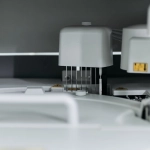 Схематическое представление алгоритмов игрового слота The Dog House