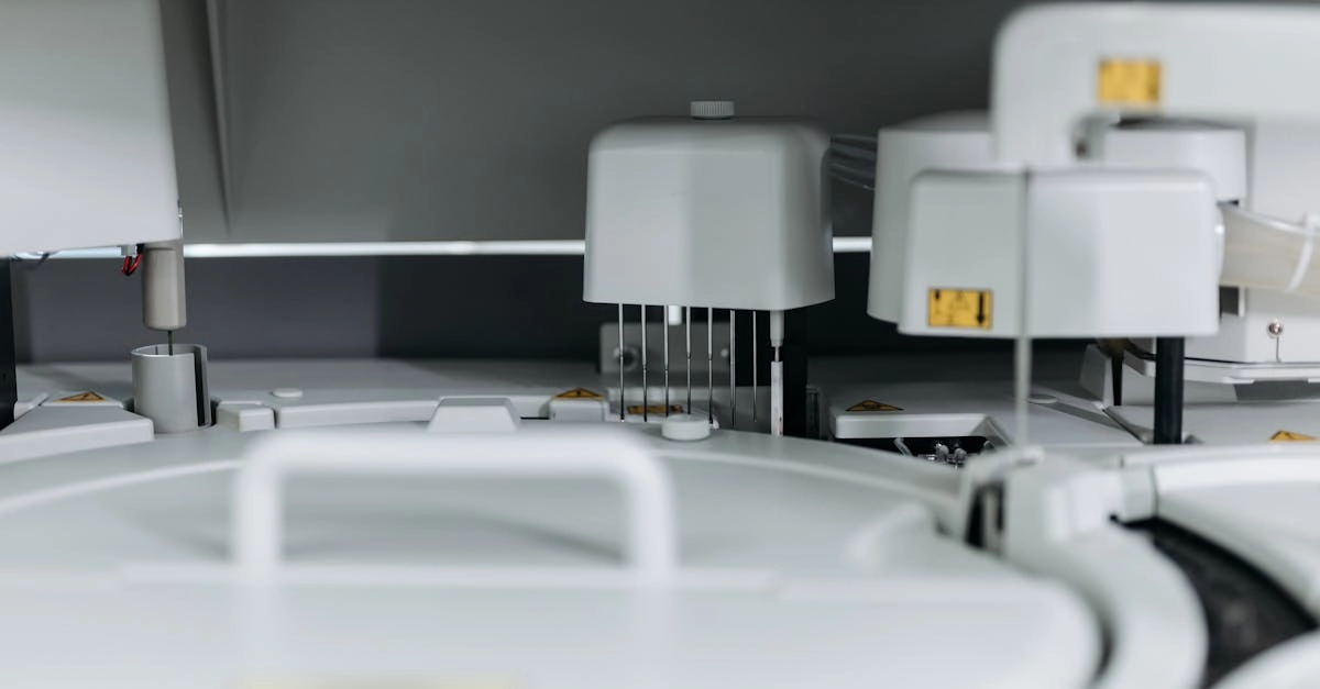 Схематическое представление алгоритмов игрового слота The Dog House